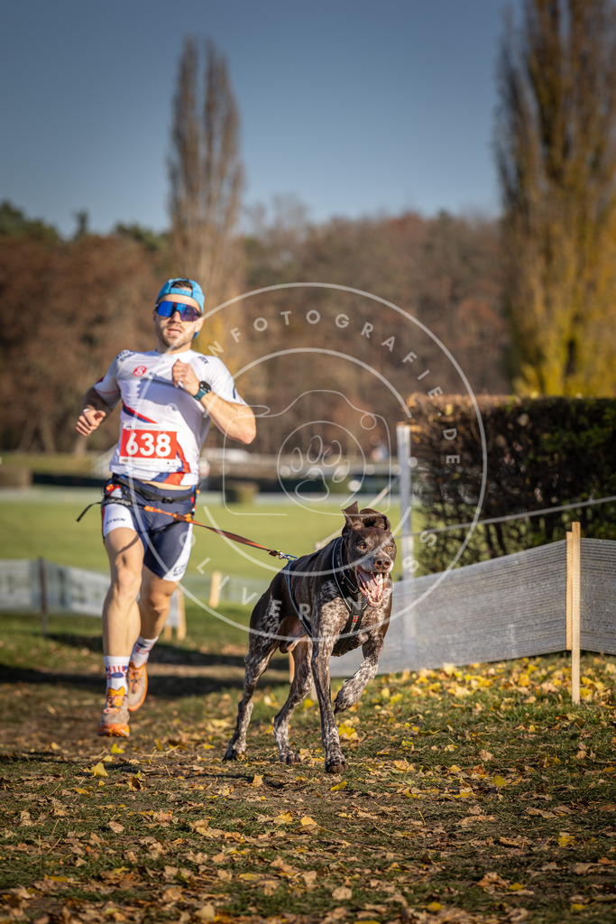 CaniXpix_DV3A0270 | Hundefotografie, Tierfotograf, Pfotenfotografie, Fotoshooting Hund, Hunde Portrait, Hundesport, Hundeportraits, Heideshooting, Hunde, Sportfotograf, Hundefotograf, Turnierhundsport, THS,  - Realisiert mit Pictrs.com