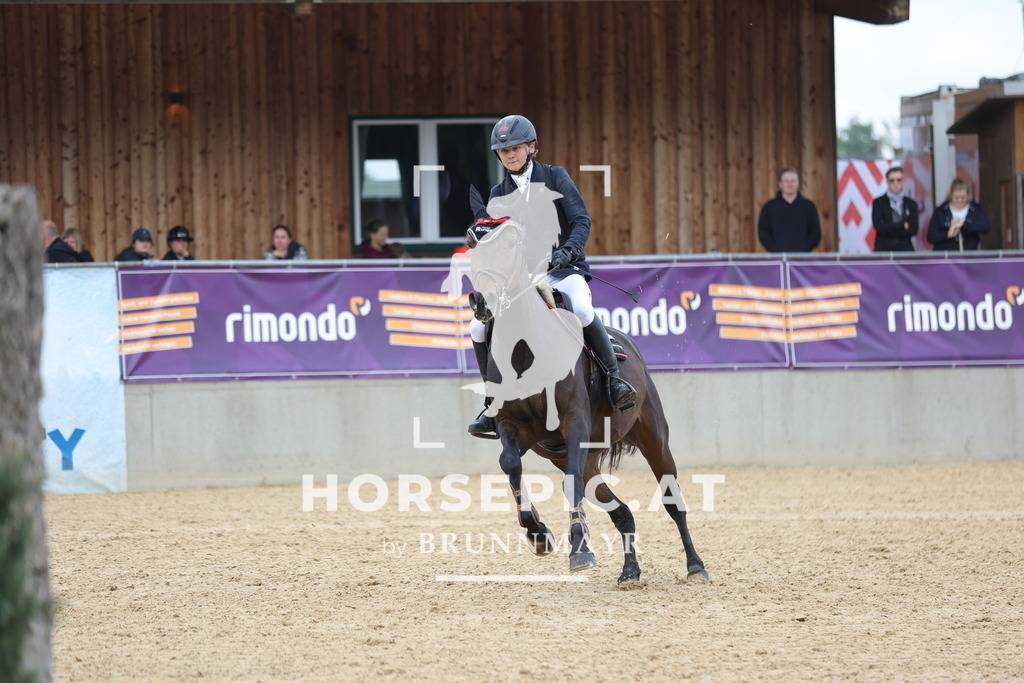 0P6A6937 | Willkommen bei Brunnmayr - Design & Fotografie – Ihrem Spezialisten für Reitturniere und Pferdeveranstaltungen in Oberösterreich, Salzburg und Bayern! Seit über 17 Jahren sind wir leidenschaftlich dabei.