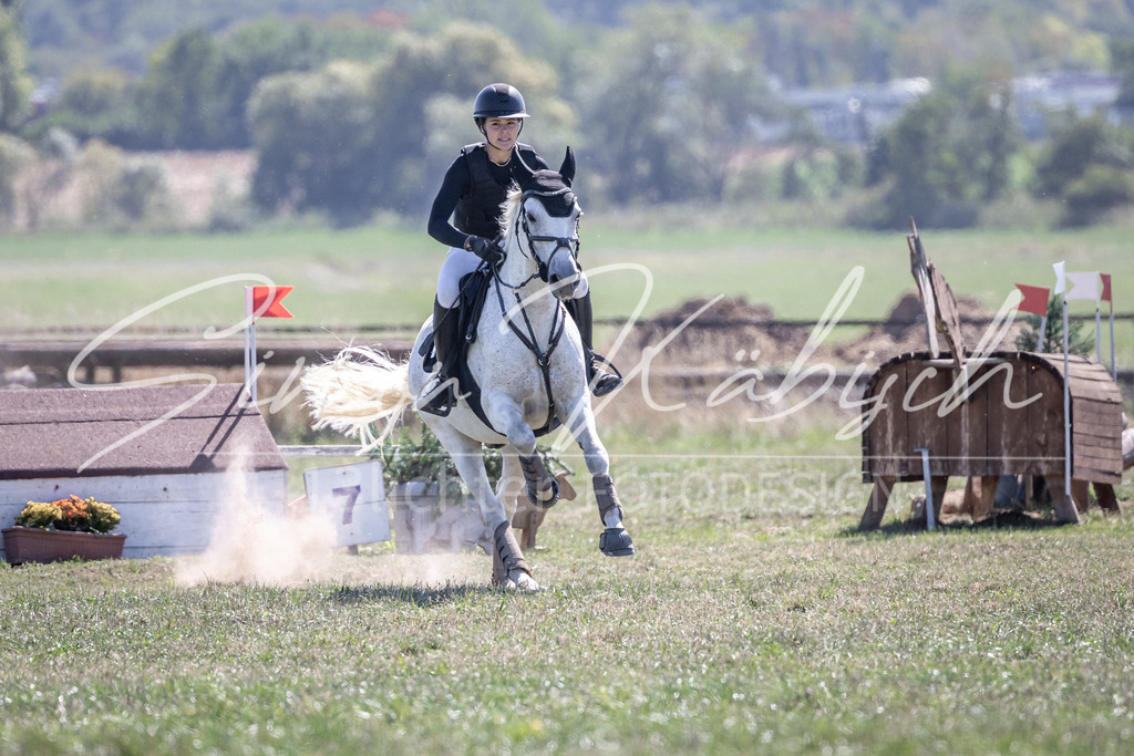 20260906-_3LI3968 | Tierfotografie Pferde, Hunde, Katzen, Haustiere.
Turnierfotografie Reitturniere, Reiten, Springreiten, Dressur in Hanau, dem Main-Kinzig-Kreis und dem Rhein-Main- Gebiet um Frankfurt