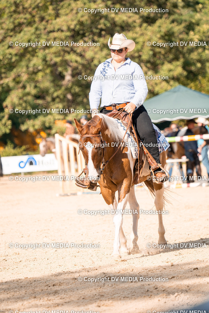 ZH100829 | dv-media-shop - Realisiert mit Pictrs.com