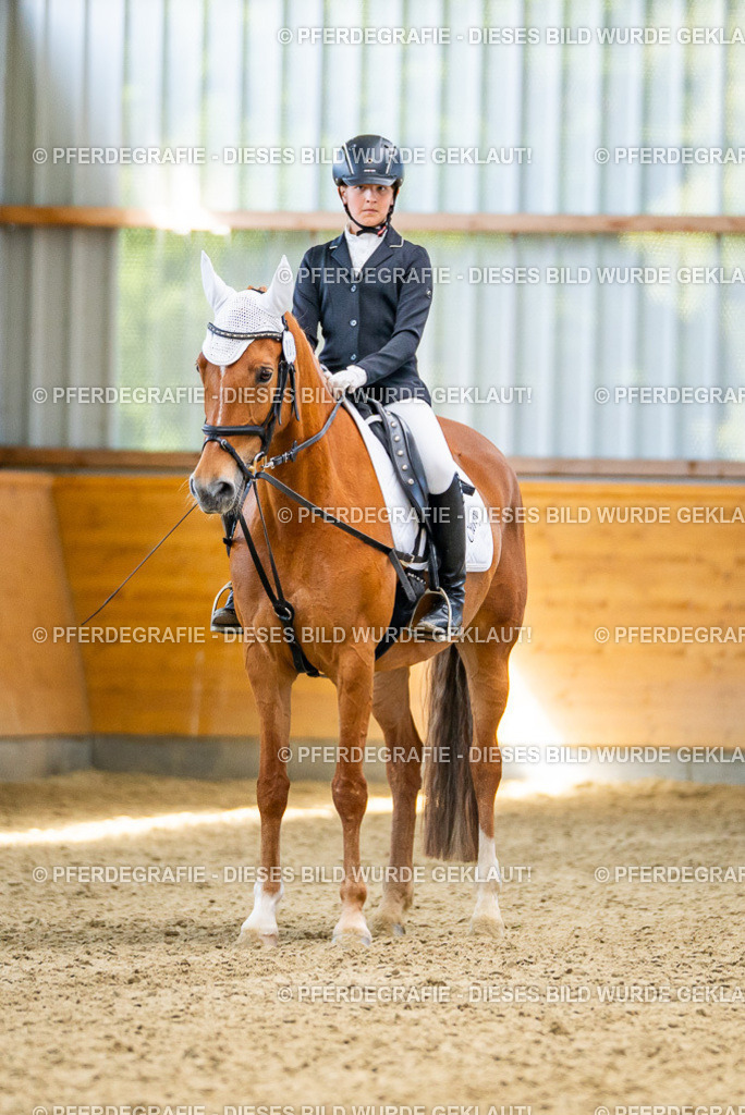 DSC03050 | Pferdegrafie