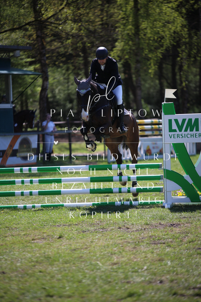 IMGT8031 | pl-fotografie