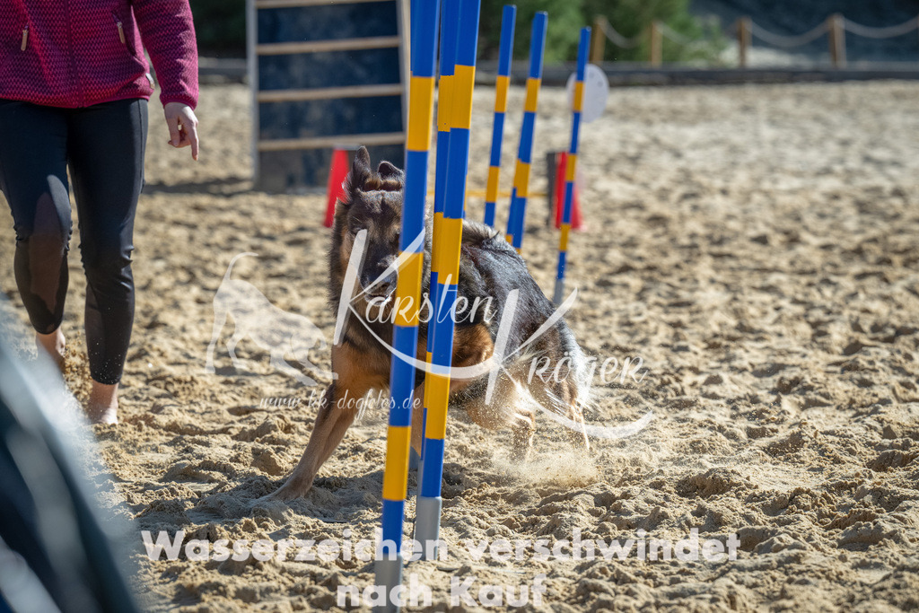 1155_ZZ92428-2-Bearbeitet | kk-dogfotos