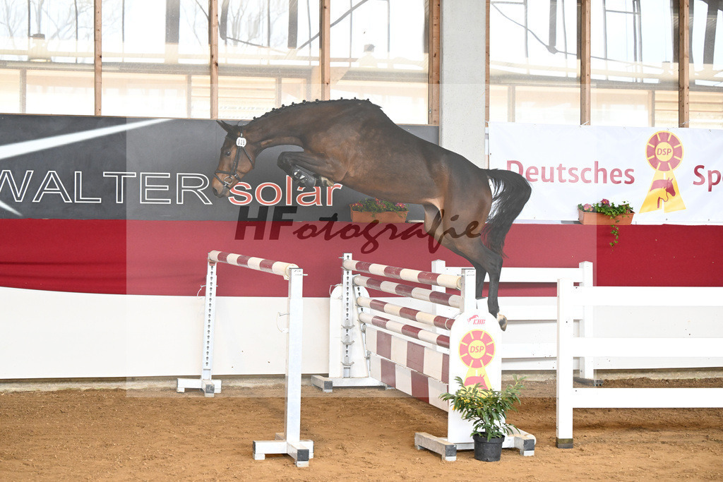 Kat-Nr. 28 Carassina S v. Chinchero_Schaefer_7250765 | hf-fotografie - Realizzato con Pictrs.com