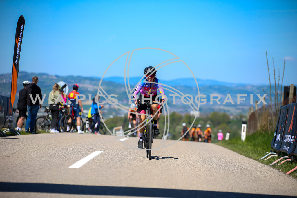 ..... | Wels, 23.04.2026, Kirschblüten Radrennen 2026 , Image shows: Photo: Wapics / Willdoner Andreas