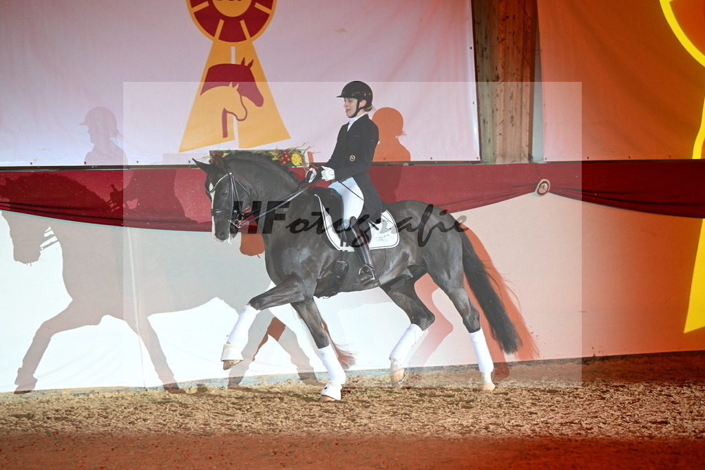 Bonds_Hoffrogge_3262925 | hf-fotografie - Realisiert mit Pictrs.com