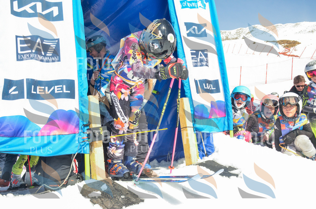 _ELE5929 | holidayphoto