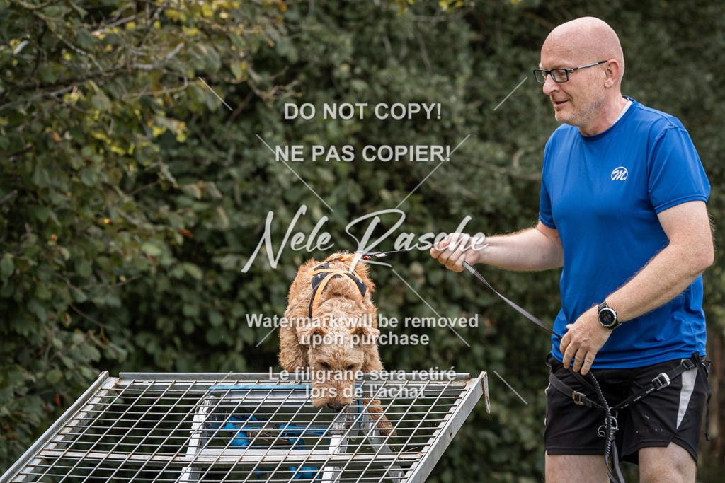 nelerasche_SoLauf_140 | nelerasche