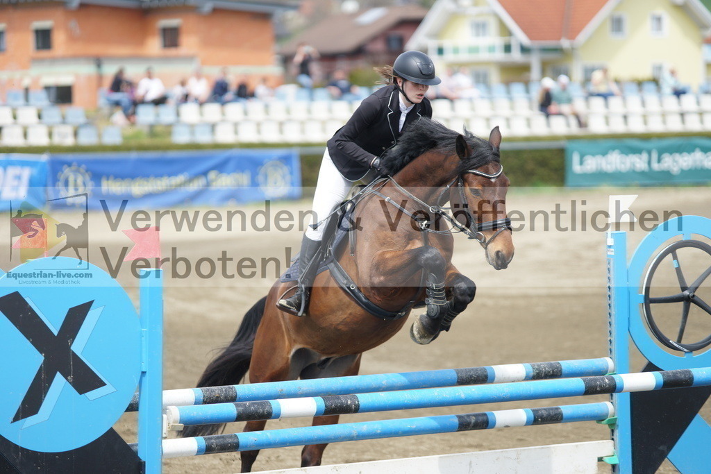 DSC04341 | equestrian-live-com