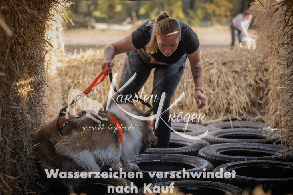 1035_ZZ98870 | kk-dogfotos