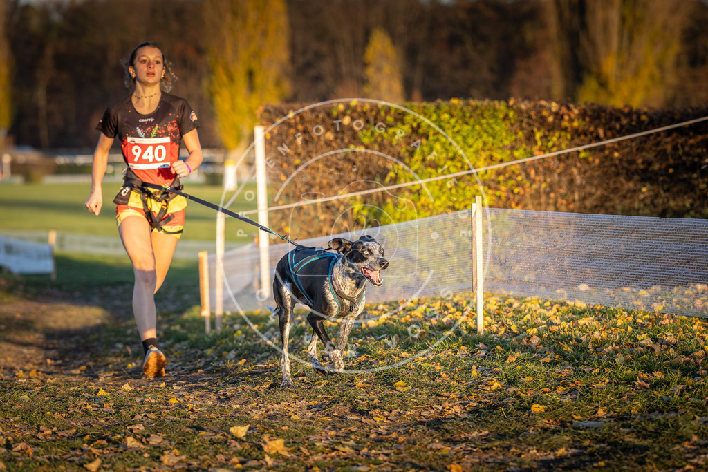 CaniXpix_DV3A5379 | Hundefotografie, Tierfotograf, Pfotenfotografie, Fotoshooting Hund, Hunde Portrait, Hundesport, Hundeportraits, Heideshooting, Hunde, Sportfotograf, Hundefotograf, Turnierhundsport, THS,  - Realisiert mit Pictrs.com