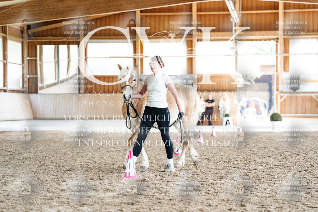 CK908597 | Turnierfotografie Pferdefotografie Trier Rheinland-Pfalz Pferdesport Reitsport Tierfotografie Sportfotografie Pferdevideo Pferdevideografie Equestrianvideography equestrianphotography  - Realisiert mit Pictrs.com