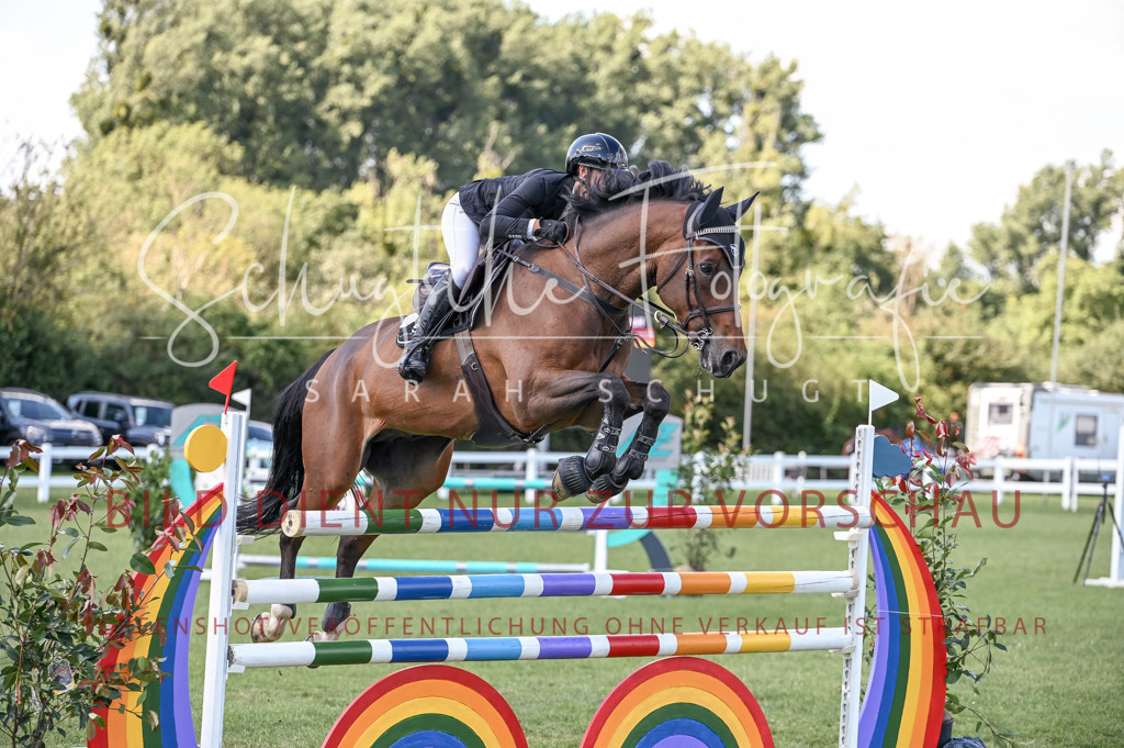 Schugtsche-Düren.2024-09.Springprf.L-202 | Schugtsche Fotografie - Realisiert mit Pictrs.com