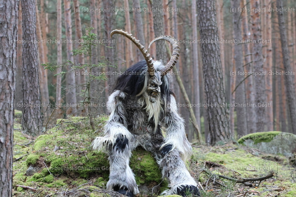 2X5A3740 | fotos-sportlich-belichtet - Realisiert mit Pictrs.com