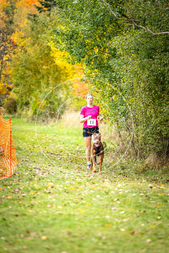 Pfotenfotografie_DV3A1776 | Hundefotografie, Tierfotograf, Pfotenfotografie, Fotoshooting Hund, Hunde Portrait, Hundesport, Hundeportraits, Heideshooting, Hunde, Sportfotograf, Hundefotograf, Turnierhundsport, THS,  - Realisiert mit Pictrs.com