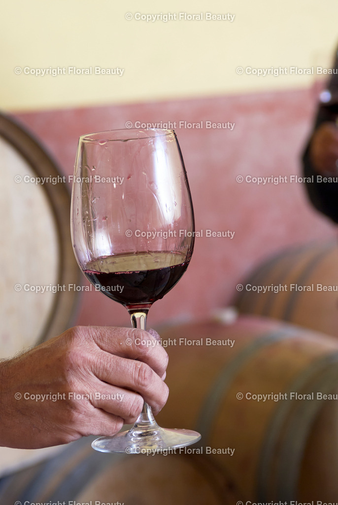 Weingut in Italien | Hand schwenkt Weinglas bei Weinprobe - Realisiert mit Pictrs.com