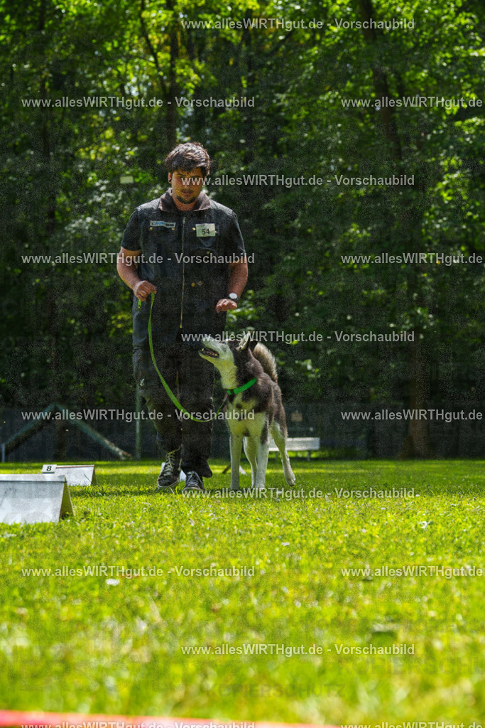 @allesWIRTHgut_Tierfotografie - www.allesWIRTHgut.de - 7R500933 | Professionelle Tierfotografie in Mönchengladbach von Daniel Wirth (allesWIRTHgut). Liebevolle & natürliche Bilder von Hunden & Katzen für unvergessliche Erinnerungen.