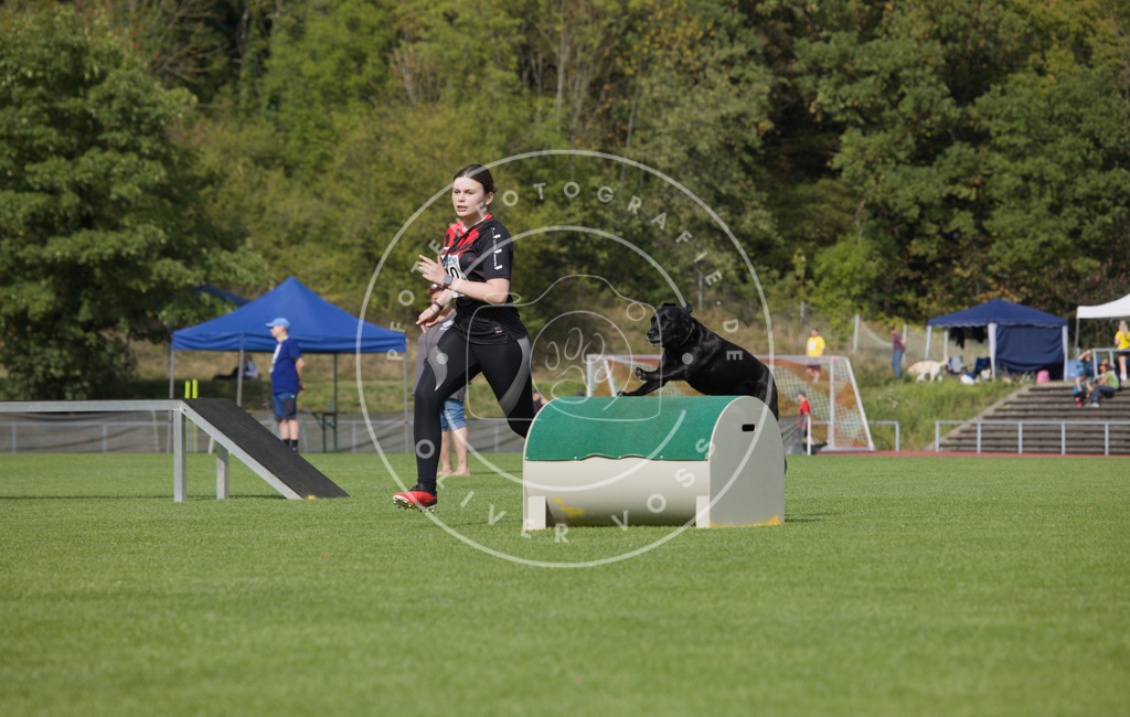 0L8A3521 | Hundefotografie, Tierfotograf, Pfotenfotografie, Fotoshooting Hund, Hunde Portrait, Hundesport, Hundeportraits, Heideshooting, Hunde, Sportfotograf, Hundefotograf, Turnierhundsport, THS,  - Realisiert mit Pictrs.com