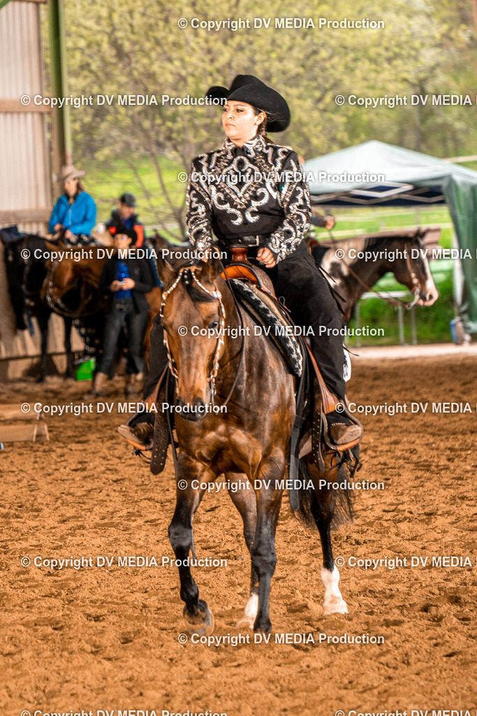 BAL00187 | dv-media-shop - Realisiert mit Pictrs.com