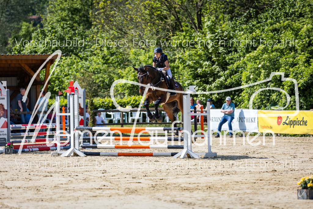 Donop24-ESpr-023 | MomenTaufnahmen Pferdesportfotos