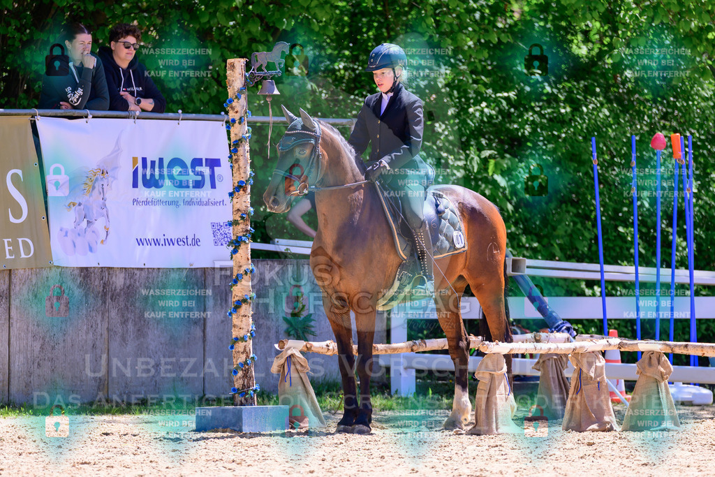 01052026-Giesenbach-02-Stiltrail-0025 | Fokus Hufschlag Fotografie - Realisiert mit Pictrs.com