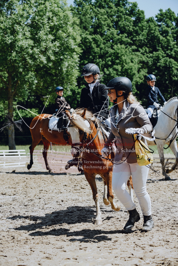 DSC_2365 | Pferde- und Turnierfotografie in Westsachsen. Pferdeportraits, Auftragszeichnungen und intuitive Kunst.