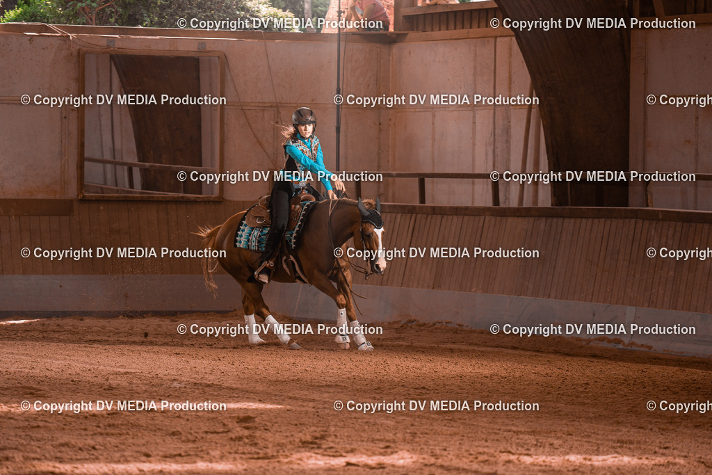 NE201124 | dv-media-shop - Realisiert mit Pictrs.com