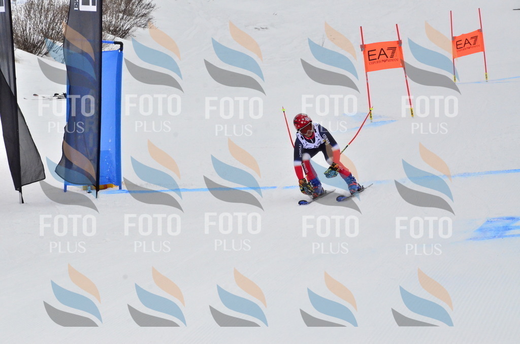 _ELE3809 | holidayphoto