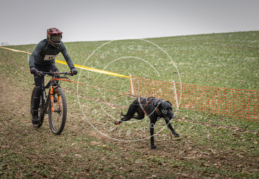 Pfotenfotografie_DV3A2418 | Hundefotografie, Tierfotograf, Pfotenfotografie, Fotoshooting Hund, Hunde Portrait, Hundesport, Hundeportraits, Heideshooting, Hunde, Sportfotograf, Hundefotograf, Turnierhundsport, THS,  - Realisiert mit Pictrs.com