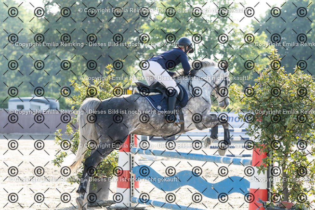 CL5A2314 | Emilia Reinking Fotografie - Realisiert mit Pictrs.com