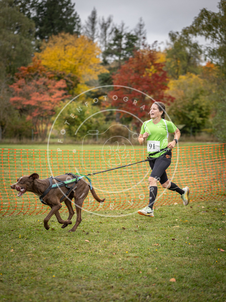 Pfotenfotografie_DV3A3285 | Hundefotografie, Tierfotograf, Pfotenfotografie, Fotoshooting Hund, Hunde Portrait, Hundesport, Hundeportraits, Heideshooting, Hunde, Sportfotograf, Hundefotograf, Turnierhundsport, THS,  - Realisiert mit Pictrs.com