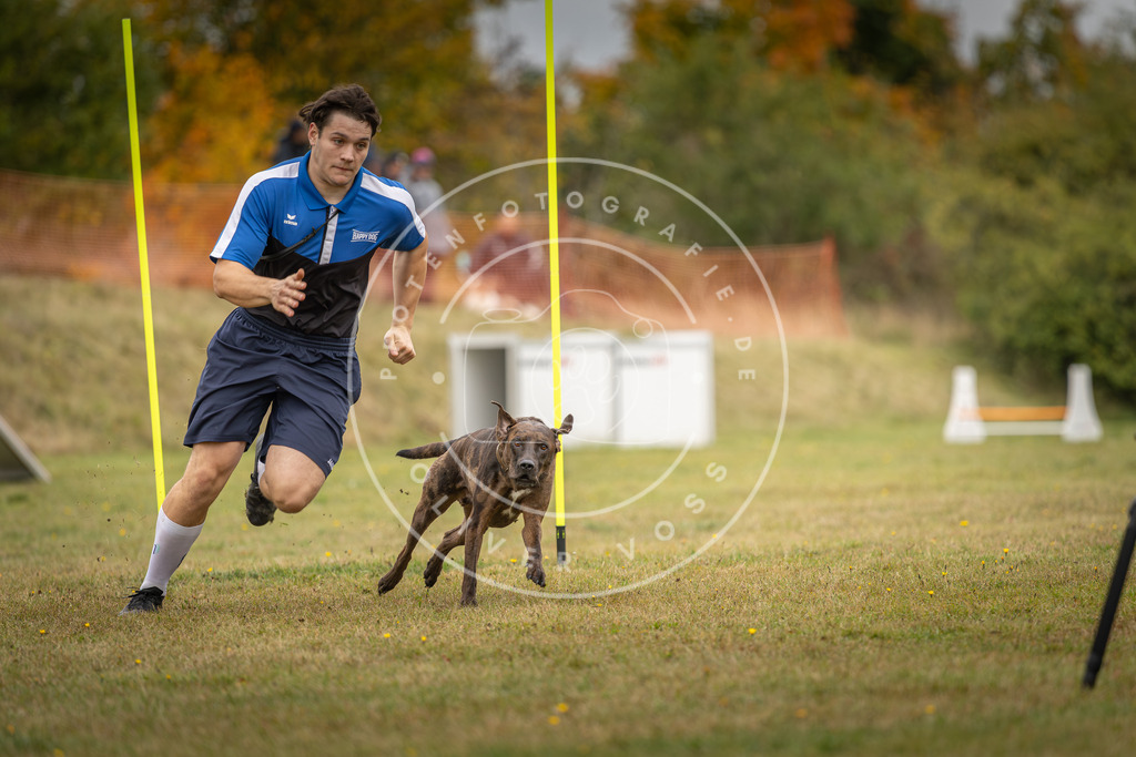 Pfotenfotografie_DV3A5614 | Hundefotografie, Tierfotograf, Pfotenfotografie, Fotoshooting Hund, Hunde Portrait, Hundesport, Hundeportraits, Heideshooting, Hunde, Sportfotograf, Hundefotograf, Turnierhundsport, THS,  - Realisiert mit Pictrs.com