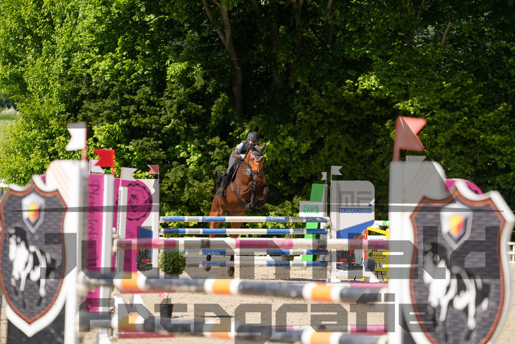 DSC02370 | Julian Held Fotografie - Realisiert mit Pictrs.com