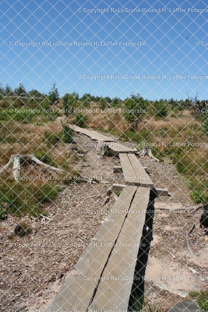 Lotharpfad-05 | Holzplanken Weg am Lotharpfad - Realisiert mit Pictrs.com