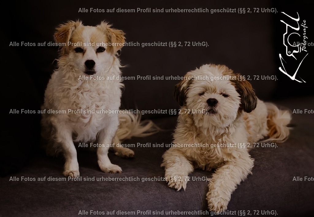 Photo_1727983274290 | krollfotografie - Realisiert mit Pictrs.com