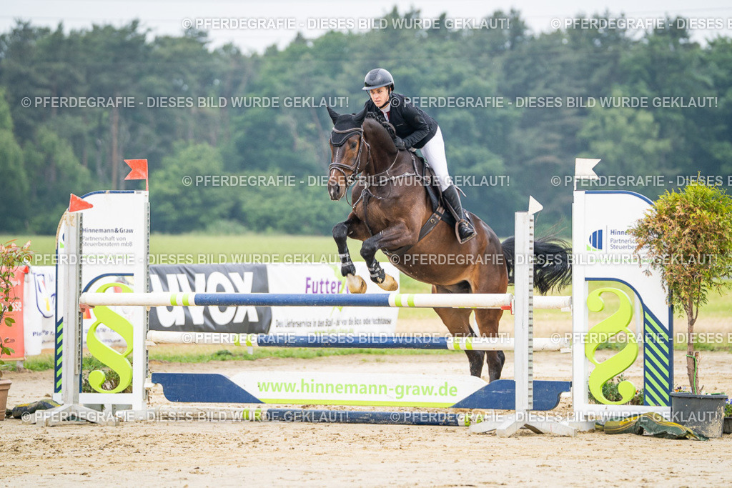 DSC09778 | Pferdegrafie