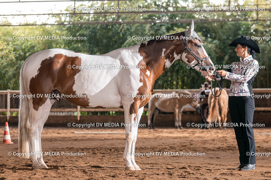 Erbach Tag 3-117 | dv-media-shop - Realisiert mit Pictrs.com