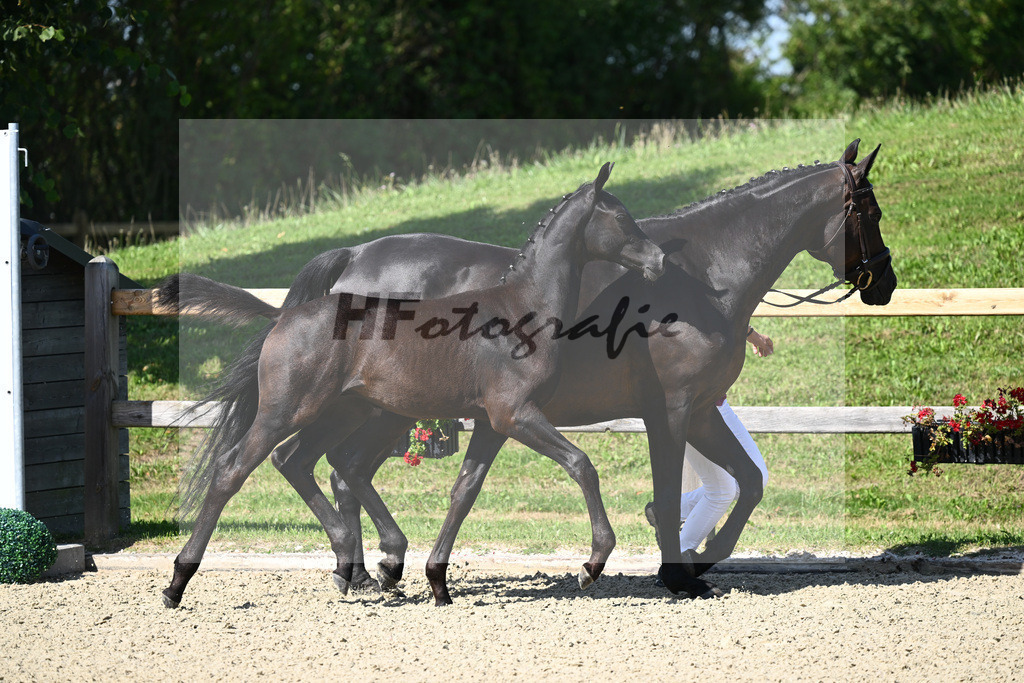 Kat-Nr. 5 HF Le Formidable x Fabriano_Kaimadl_28230094 | hf-fotografie - Realizzato con Pictrs.com