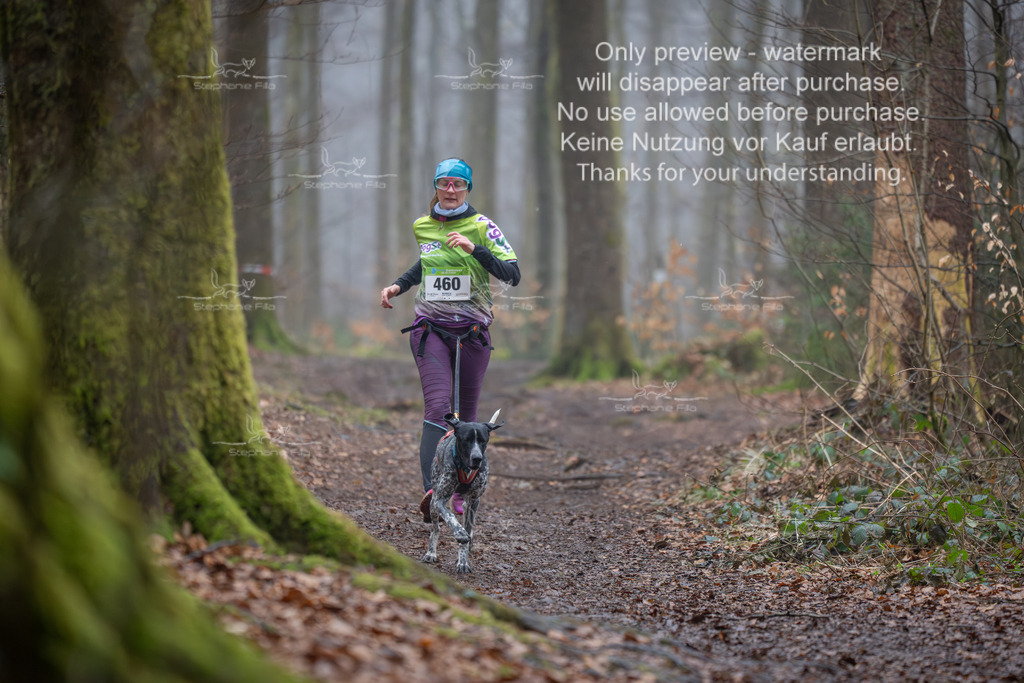 Canix_So-120 | stephaniefillaphotographie - Realisiert mit Pictrs.com