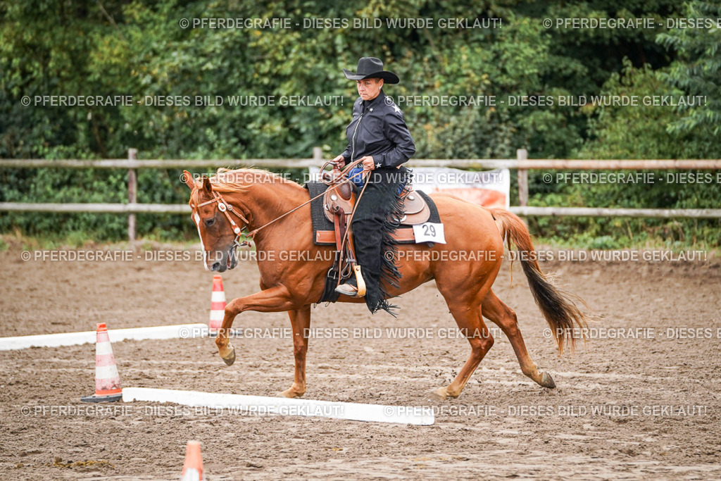 DSC03248 | Pferdegrafie