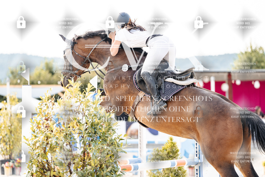 CK906430 | Turnierfotografie Pferdefotografie Trier Rheinland-Pfalz Pferdesport Reitsport Tierfotografie Sportfotografie Pferdevideo Pferdevideografie Equestrianvideography equestrianphotography  - Realisiert mit Pictrs.com