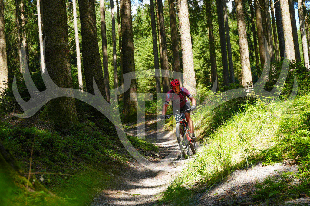 FC604021 | Fotogalerie der Treibjagd im Dunkelwald - Dein MTB Etappenrennen im Erzgebirge - Realisiert mit Pictrs.com