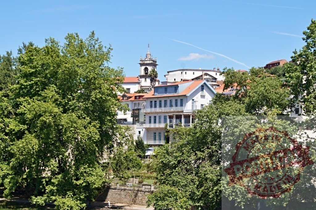 Amarante cityscape with church tower and green trees | Amarante, Portugal, showing historic architecture along the river on a clear summer day - Realized with Pictrs.com