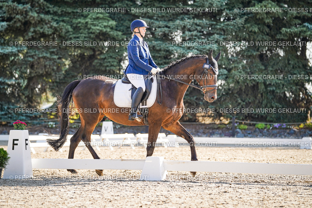 DSC09207 | Pferdegrafie