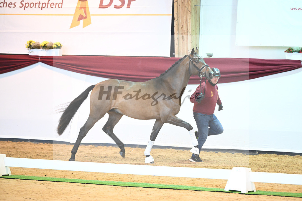 Kat-Nr. 11 v. Borsalino_Koegler u Schuhmacher_66220103 | hf-fotografie - Realisiert mit Pictrs.com