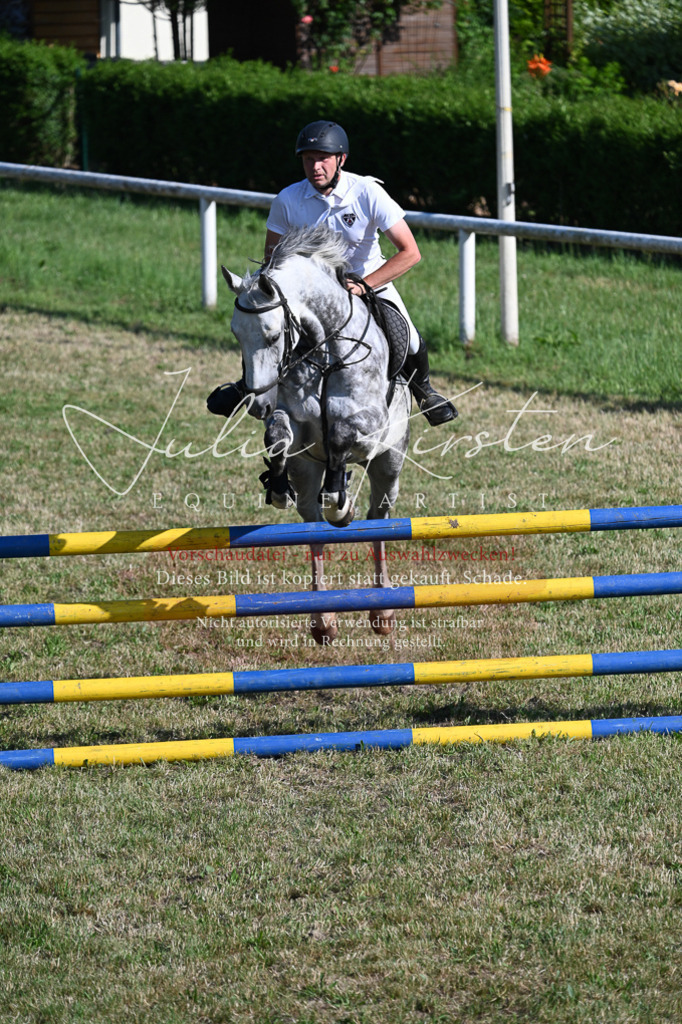DSC_2562 | Pferde- und Turnierfotografie in Westsachsen. Pferdeportraits, Auftragszeichnungen und intuitive Kunst.