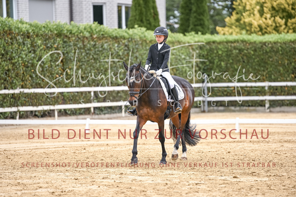 Schugtsche-Aluta25-42.EDressur -330 | Schugtsche Fotografie - Realisiert mit Pictrs.com
