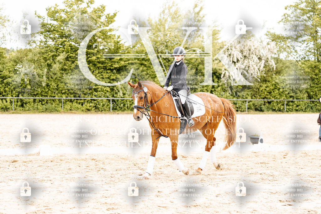 CK904222 | Turnierfotografie Pferdefotografie Trier Rheinland-Pfalz Pferdesport Reitsport Tierfotografie Sportfotografie Pferdevideo Pferdevideografie Equestrianvideography equestrianphotography  - Realisiert mit Pictrs.com