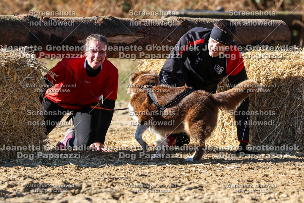Dog Paparazzi - Strongdog 10-25-2799 | Dog Paparazzi Jeanette Grottendiek Fotografie & Videografie - Realisiert mit Pictrs.com
