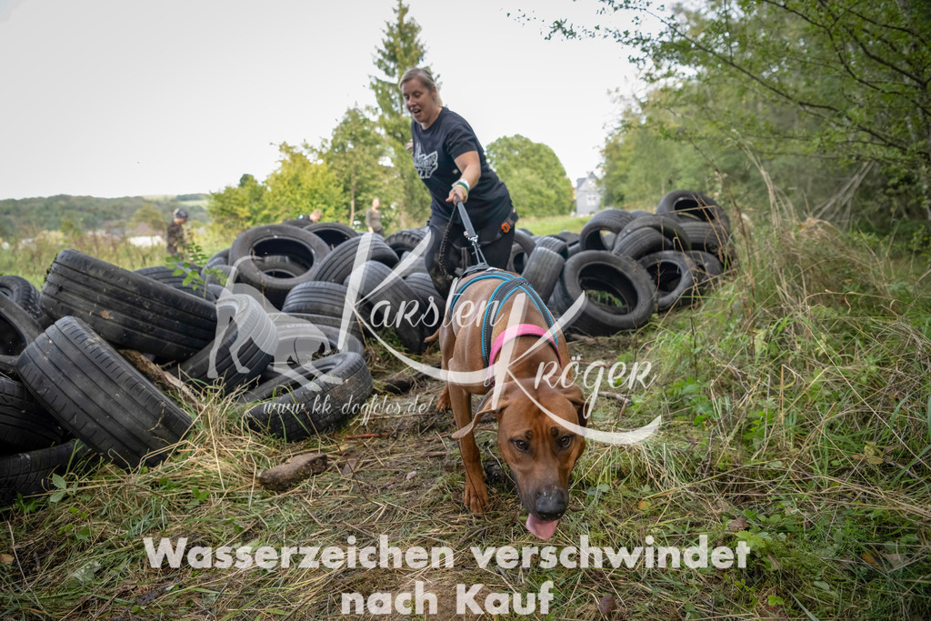 1510_ZZ91293-Bearbeitet | kk-dogfotos